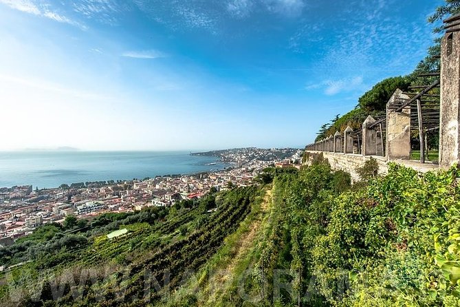 Private Tour: Vertical Naples Walking Tour - Urban Trekking - Meeting and Departure Details