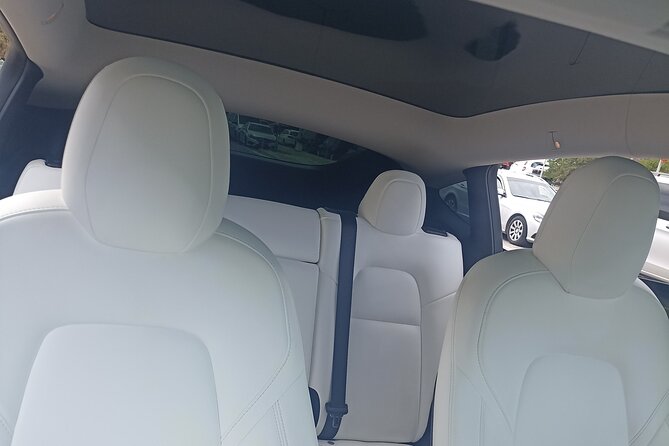 Private Transfer From Port or Airport to Santorini - Additional Services