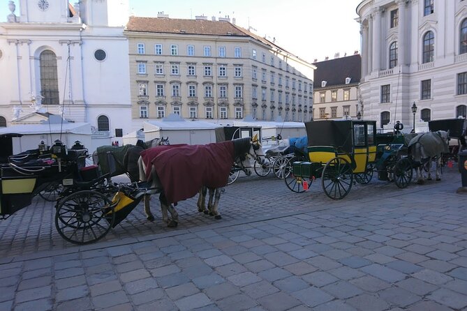 Private Transfer From Venice to Vienna or Vienna to Venice - Service Inclusions