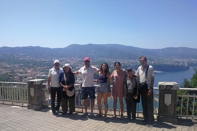 Private Transfer Naples / Florence or Vice Versa - Accessibility and Group Participation