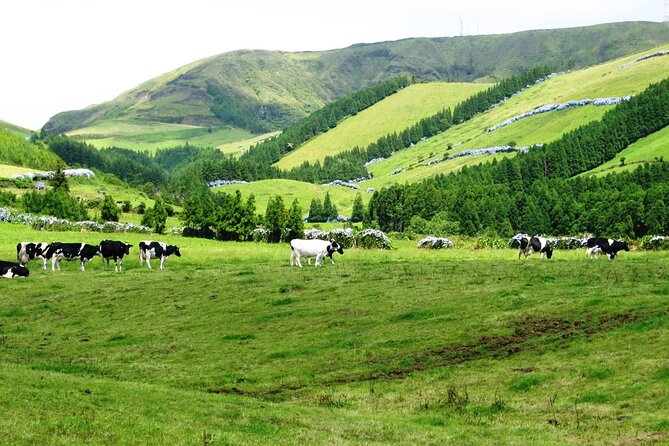 Private Walking Tour to Lagoa Do Fogo - Additional Information