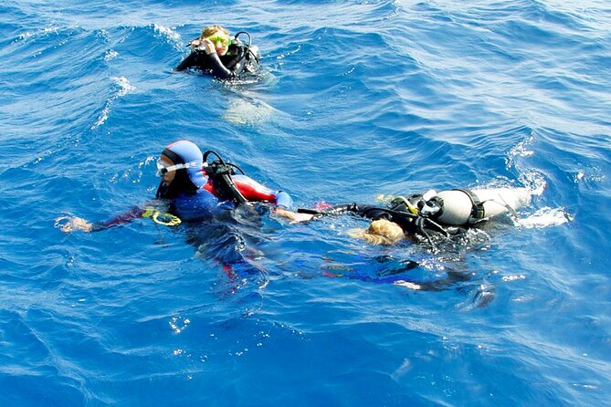 Professional Scuba Diving Tour, Lunch & Transfers From Hurghada - Tour Highlights
