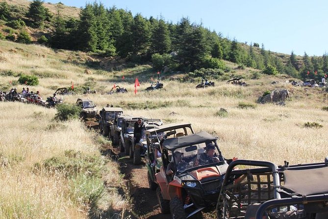 RZR S (2 Seat Buggy) Full Day Off-Road Scenic Adventures - Booking Details