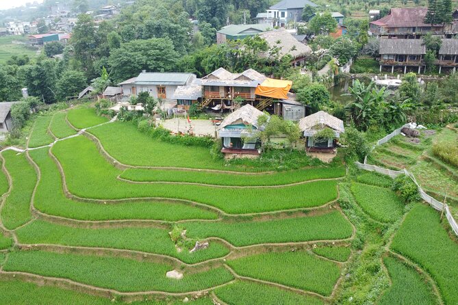 Sa Pa Full Day Trekking Tour - Activity Information