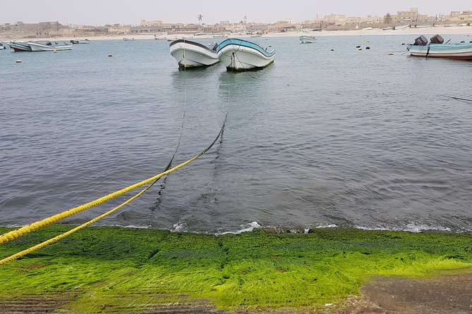 Salalah: Excursion to East Salalah and Mirbat - East Salalah Itinerary
