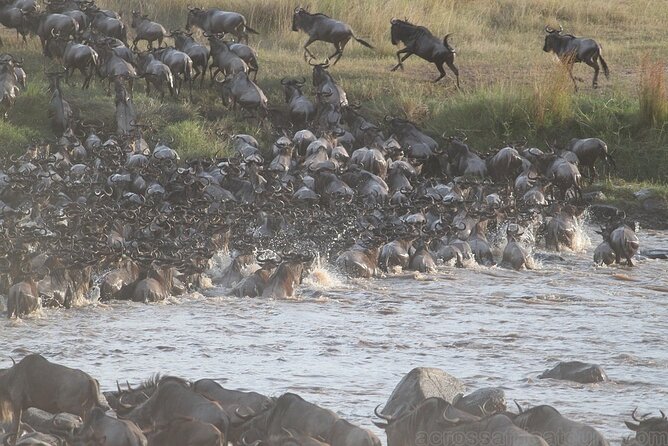 Samburu, Aberdare and Maasai Mara Adventure 11days/10nights. - Price and Booking Details