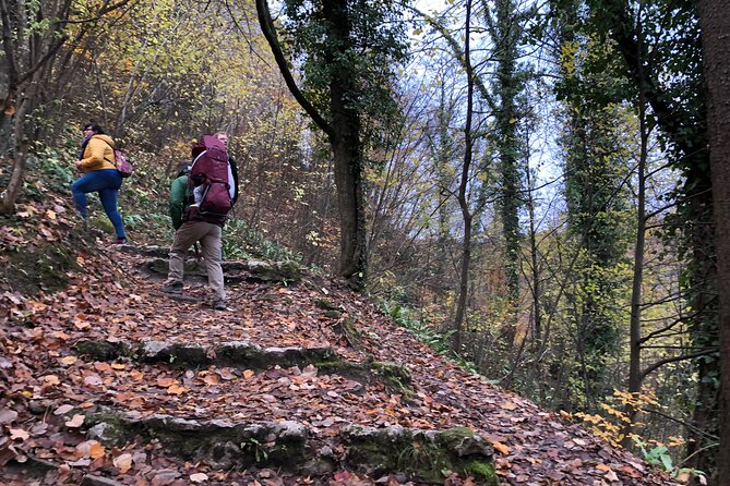 Samobor Town and Castle Walking Tour - Cancellation Policy Details