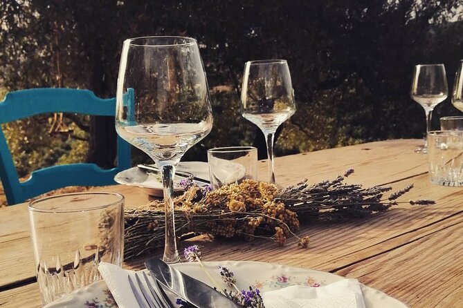 Sardinian Olive Oil Tasting & Picnic Among the Olive Trees - Menu Offerings