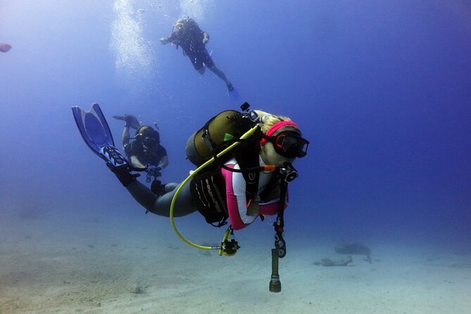 Scuba Diving Experience in Kusadasi With Instructor and Transfer