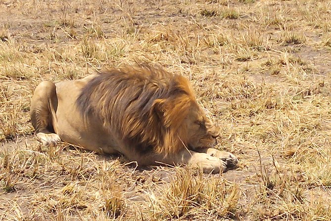 Serengeti National Park 7 Days Safaris Camping - Frequently Asked Questions