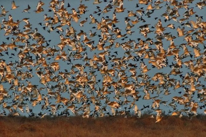 Shirvan National Park Tour - Expectations & Additional Info
