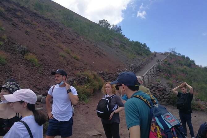 Shore Excursion Vesuvius and Site of Herculaneum (6 Hrs) - Itinerary Overview