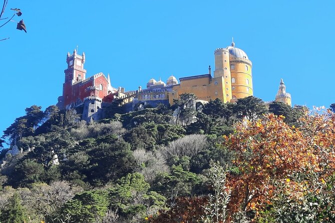 Sintra Palaces and Forest Private Tour - Frequently Asked Questions