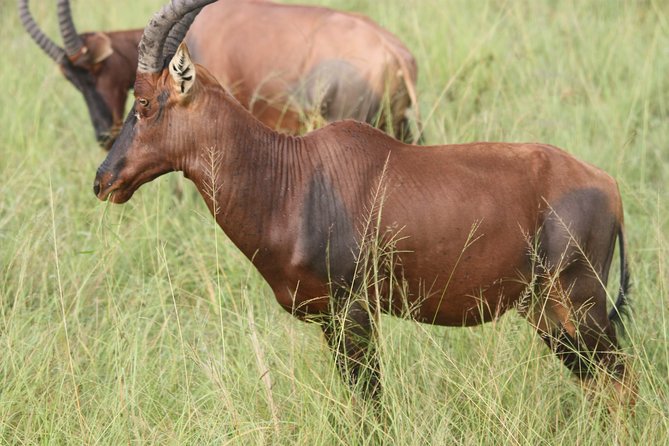 Small Group Adventure Holiday- 7 Days - Wildlife Encounters
