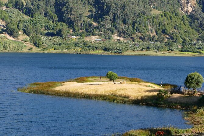 Stunning Views Wonchi Crater Lake a Private Day Trip - Included Amenities