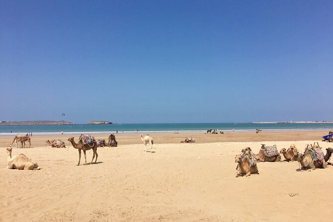Supratours Marrakech to Essaouira Moroccan Bus Tickets - Bus Ride and Amenities Highlight