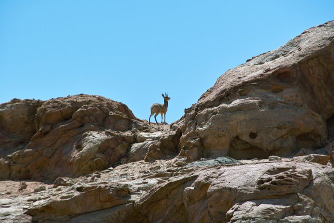 Swakop River Valley & Spitzkoppe Full Day 4x4 Tour From Walvis Bay - Lunch Inclusions