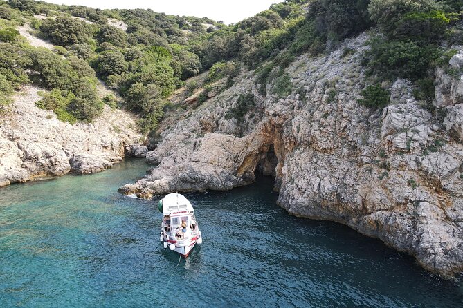 Swimming and Snorkeling on the Wild Bays 3.5 Hours (PUBLIC) - Meeting Point Information