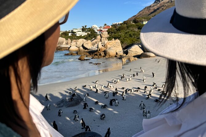Table Mountain and Penguins Private Half Day Tour