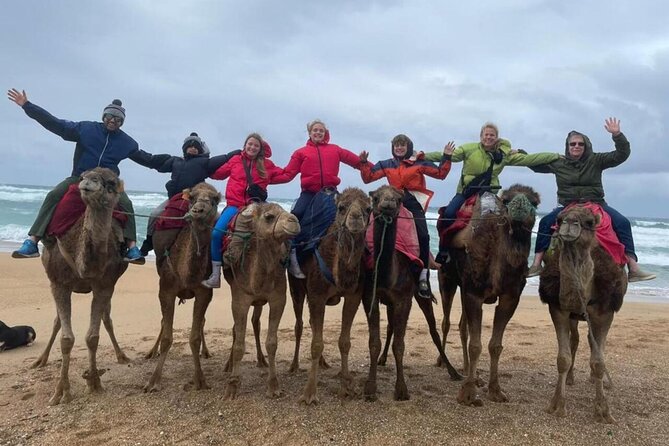 Tangier Private Day Tour From Cruise Ship - Group Size and Pricing