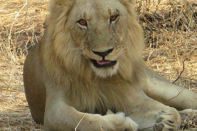 Tarangire National Park and Lake Manyara National Park - Tarangire National Park Overview