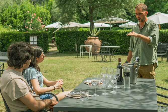 Tasting of Vernaccia, Chianti and Extra Virgin Olive Oil