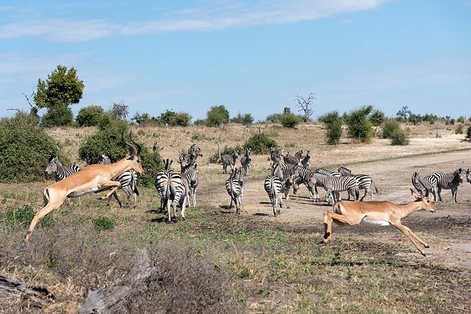 The Mosi Oa Tunya National Park Game Drive - Refreshments and Amenities Provided