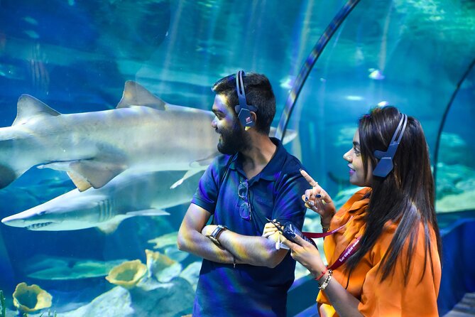 Ticket to the Largest Oceanarium of the Mascarene Islands - Booking Recommendations