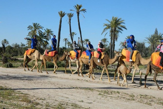 Top Activities: Sunset Camel Ride in the Palm Grove of Marrakech - Inclusions and Guarantees