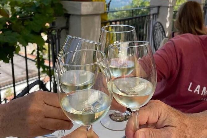 Tour From Positano to Amalfi Coast : Luxury Tour, Secret Vineyard - Vineyard Visit Details