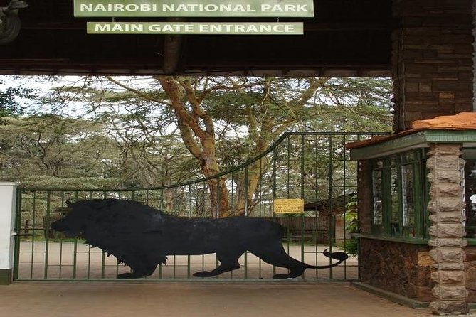 Tour: Giraffe Center and Nairobi National Park - Tour Testimonials