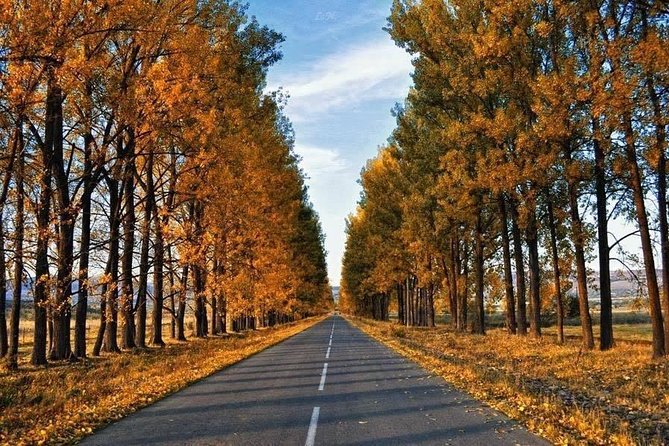 Tour in the Forest of Sabadur and the Chronicler of Georgia. - Travel Logistics