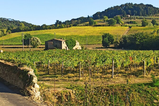 Transfer Florence - Siena With Visit to Chianti and Wine Tasting - Tour Highlights