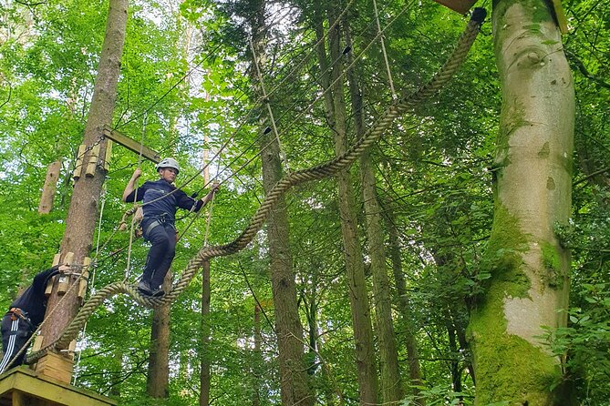 Tree Top Highwire - 2 Different Courses for Different Age Groups - The Sum Up