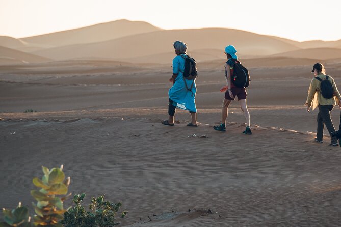 Trekking 8 Days in the Moroccan Desert From Marrakech - Itinerary Overview