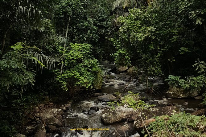 Trekking at Udzungwa Mountains and Tour at Nyerere National Park - Udzungwa Mountains: Experience the Wilderness