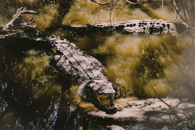 Udawalawe National Park Private Safari - Pricing and Reservation