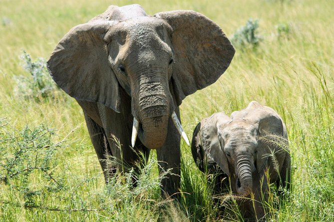 Uganda Wildlife Holiday - 8 Days - Day 1: Arrival in Entebbe