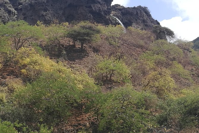 Uncover Wonders of East Salalah-Full Day Guided Tour - The Sum Up