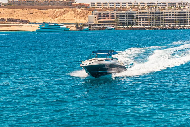 VIP 4-hour Speedboat Thrill: Dolphin Swim, Snorkel & Island!
