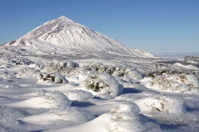 VIP Tour in Teide Icod Garachico and Masca in English - Group Size and Reservation