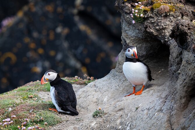 Volcanic Vistas & Puffin Paradise ATV Tour - What to Bring