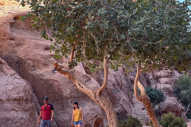 Wadi Rum Short Tours - Traveler Experiences