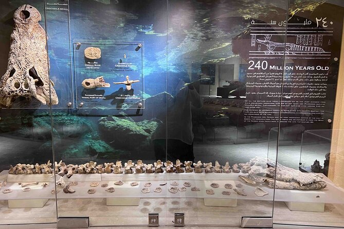 Whales Valley Museum, Magic Lake and Waterfalls in Faiyum Desert - Transportation and Directions Guide