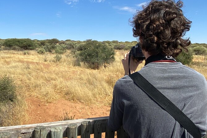 Windhoek Carnivore Experience Feeding Half Day Tour - Location and Duration