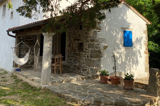 Wine Tasting in the Oldest Dated Cellar From 1683 in Vipava - Pricing Information