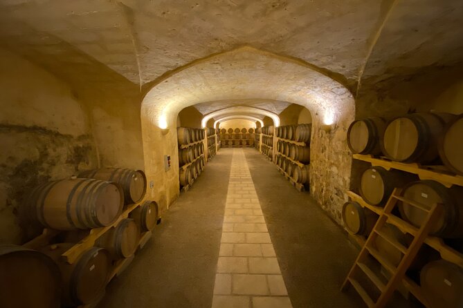 Winery Tour and Tasting in Salento