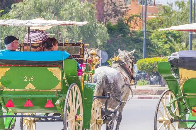 Withlocale Guide Marrakech Excursion -Group Shared- From Agadir - Group Size and Transportation