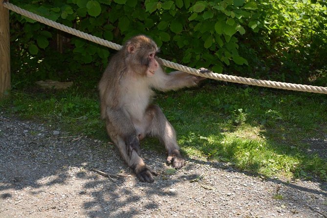Zagreb - Monkey Park (Affenberg) - Klagenfurt - Minimudus - Private Day Trip Experience