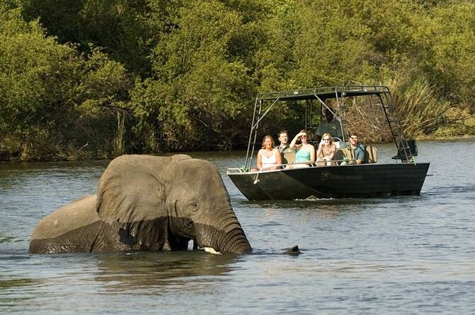 Zambezi River Safari